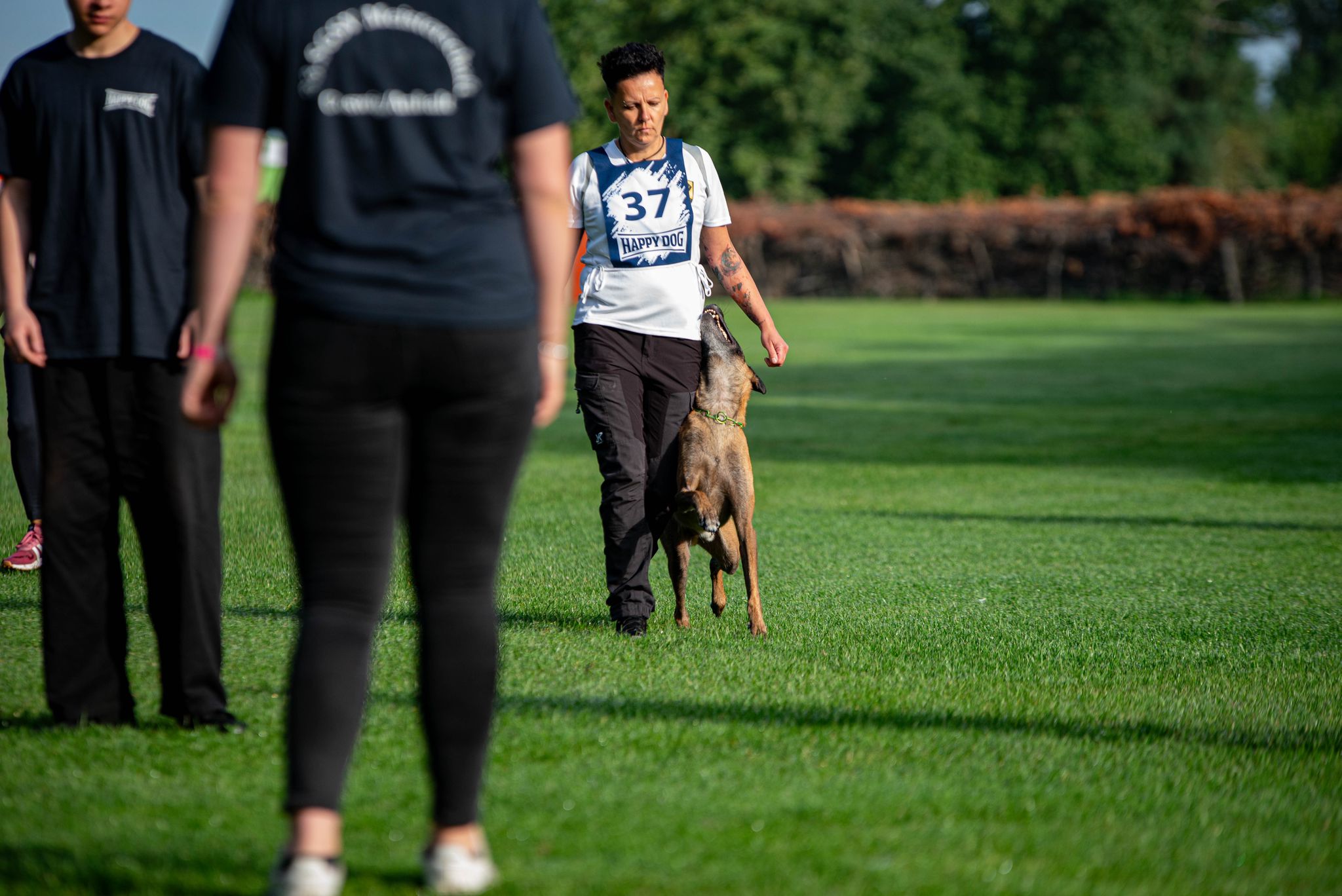 Hundeschule in Jessen